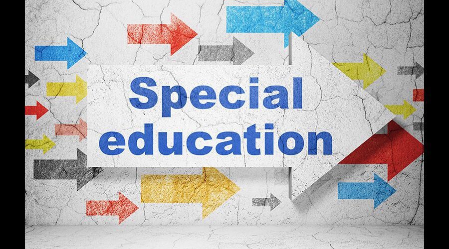 Just In: FCPS “Independent” Special Education Audit Reveals Disturbing Data